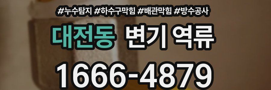 대전동 변기 역류