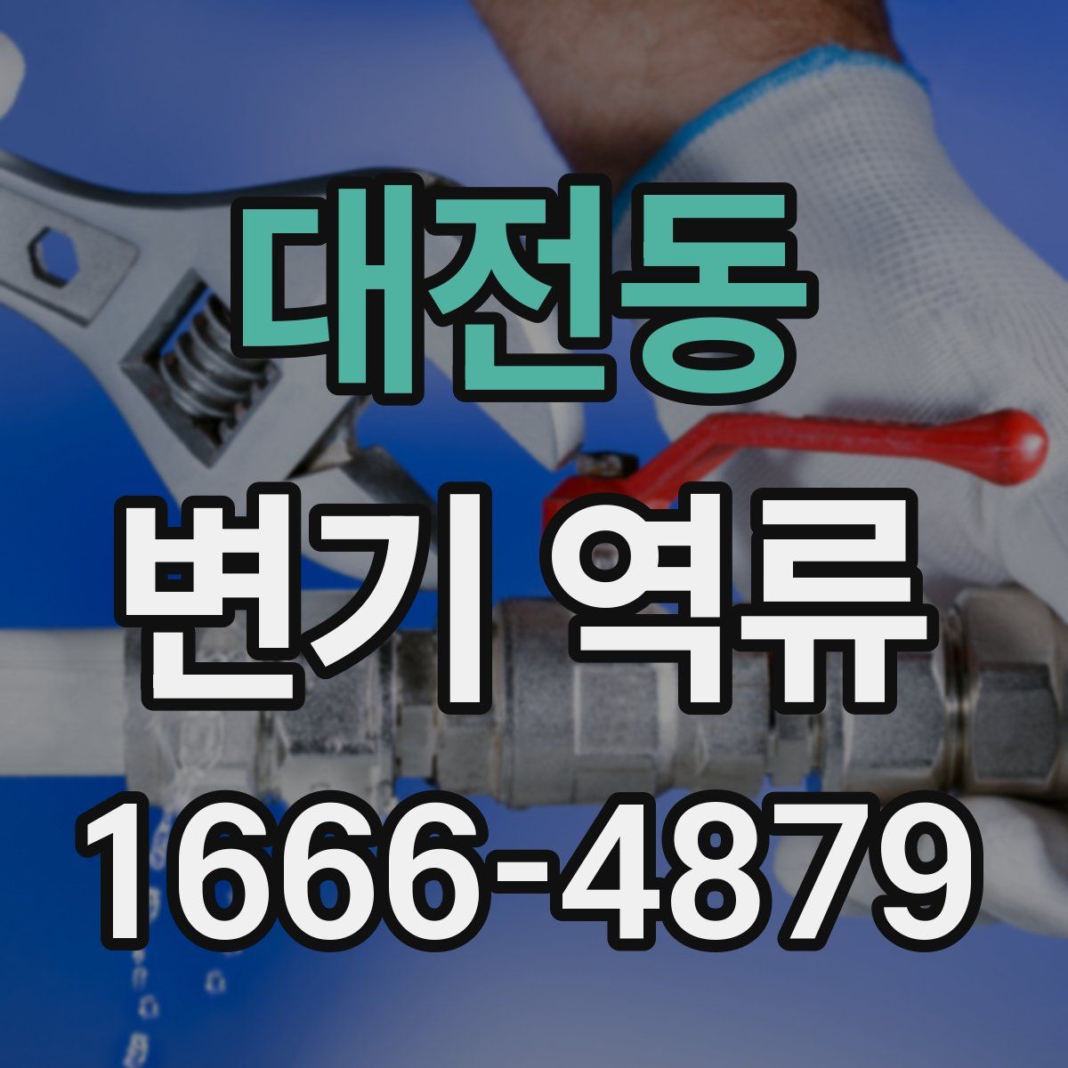 대전동 변기 역류