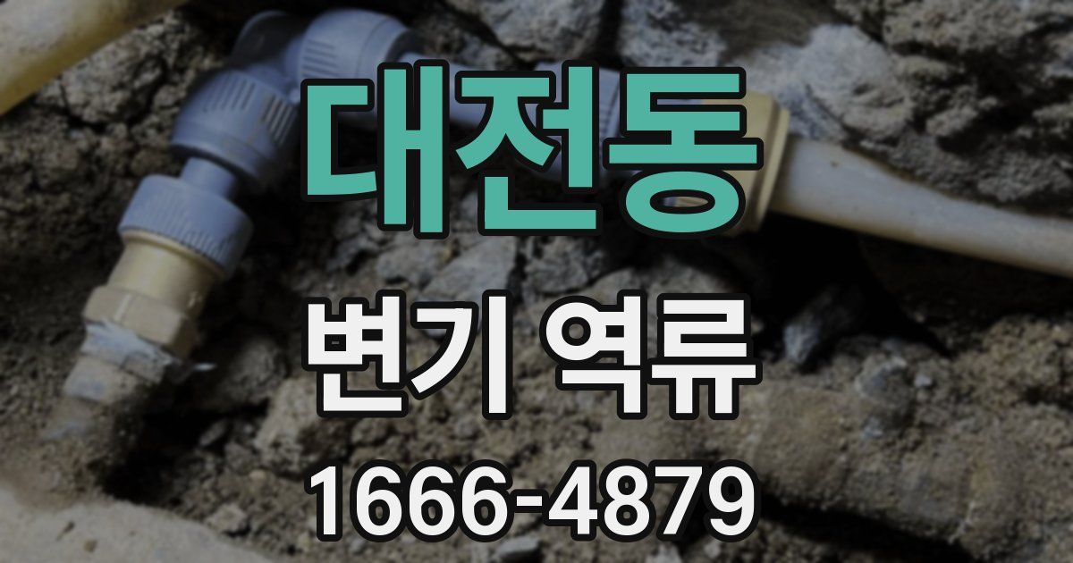 대전동 변기 역류