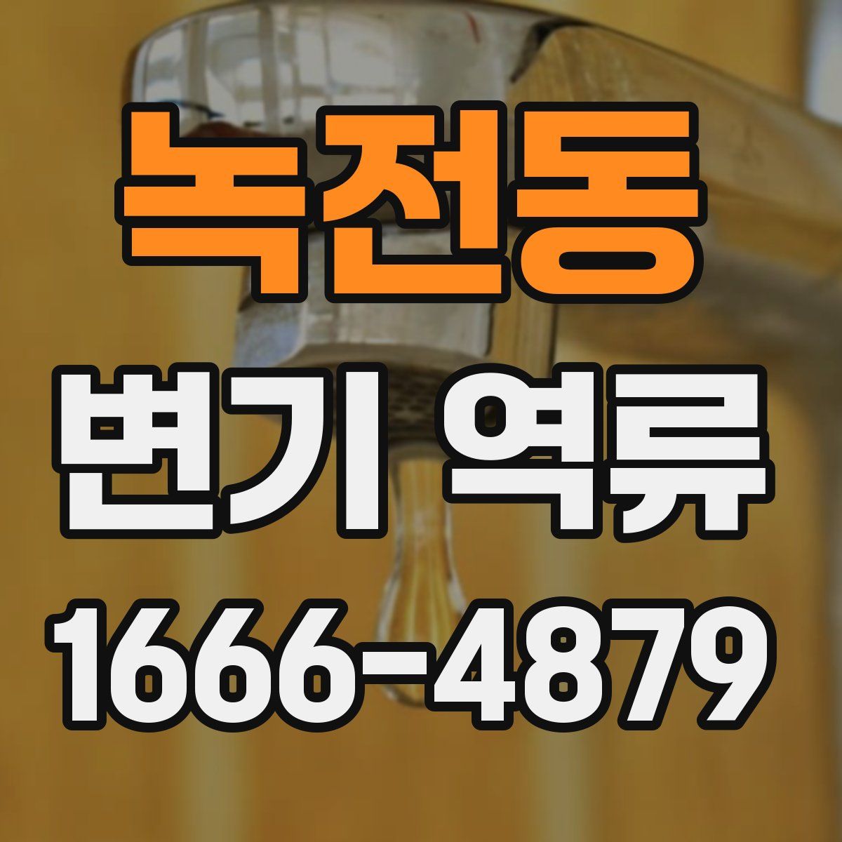 녹전동 변기 역류