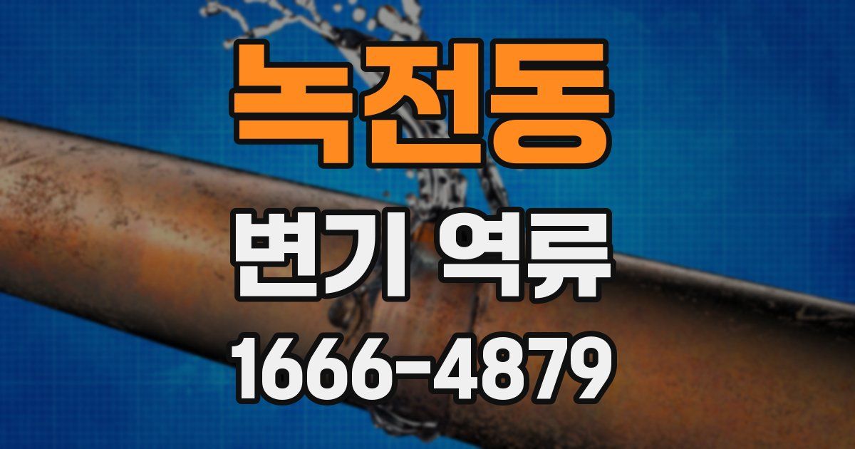 녹전동 변기 역류