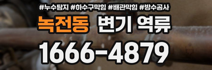 녹전동 변기 역류