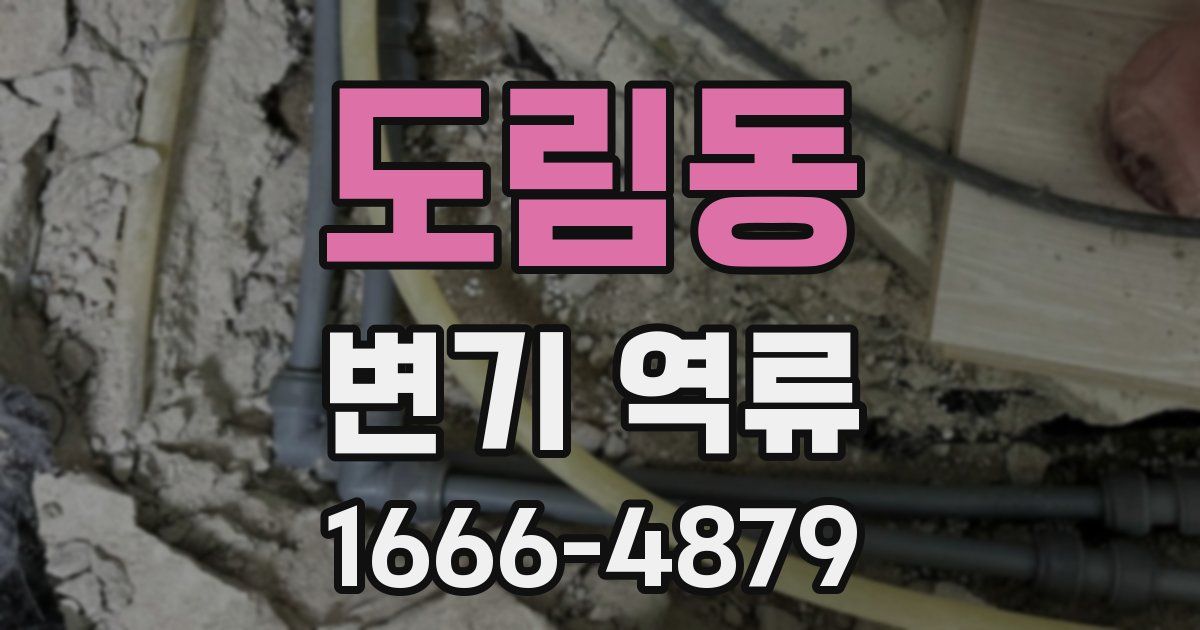 도림동 변기 역류