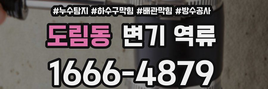 도림동 변기 역류