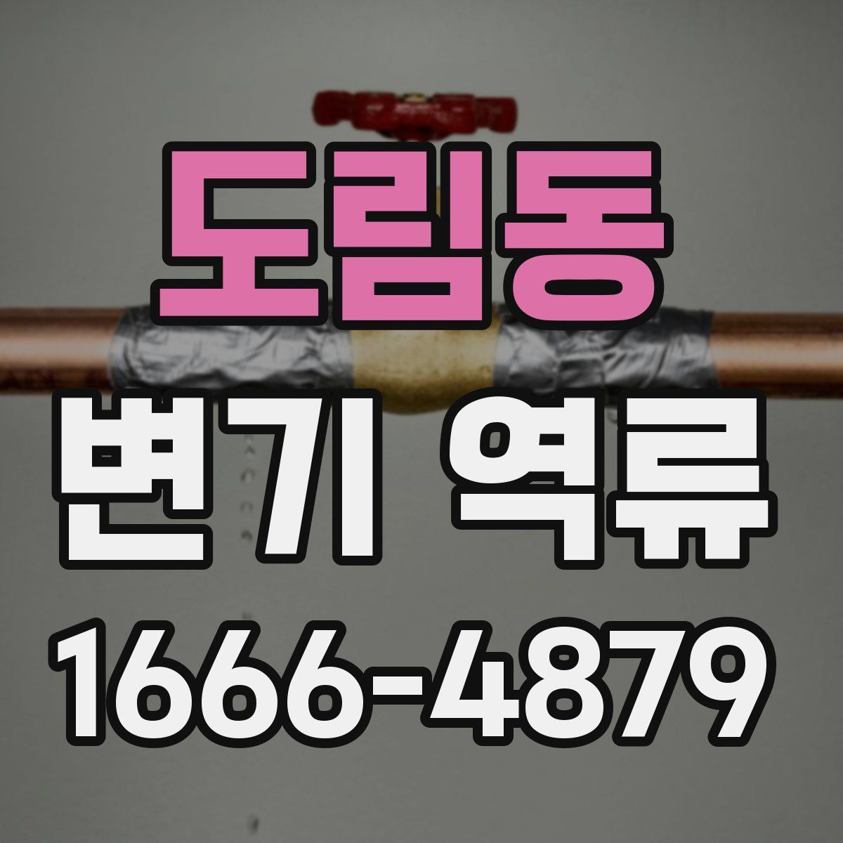 도림동 변기 역류
