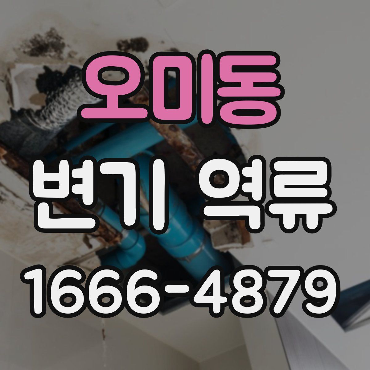 오미동 변기 역류