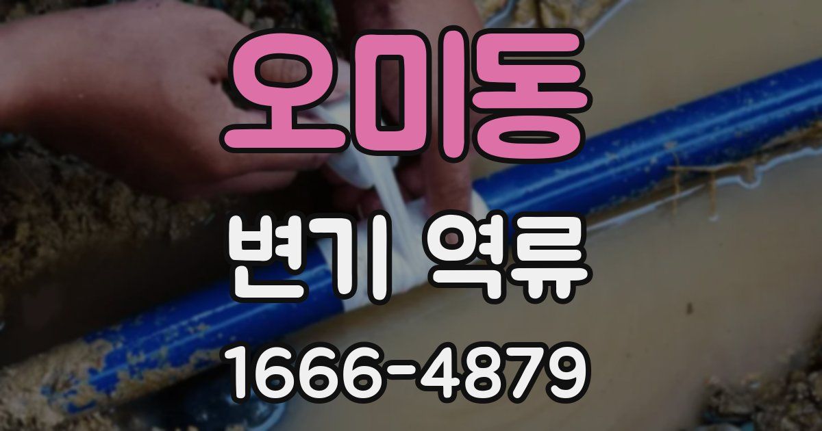오미동 변기 역류