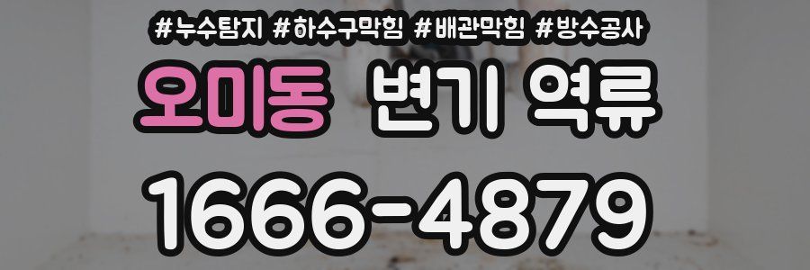 오미동 변기 역류