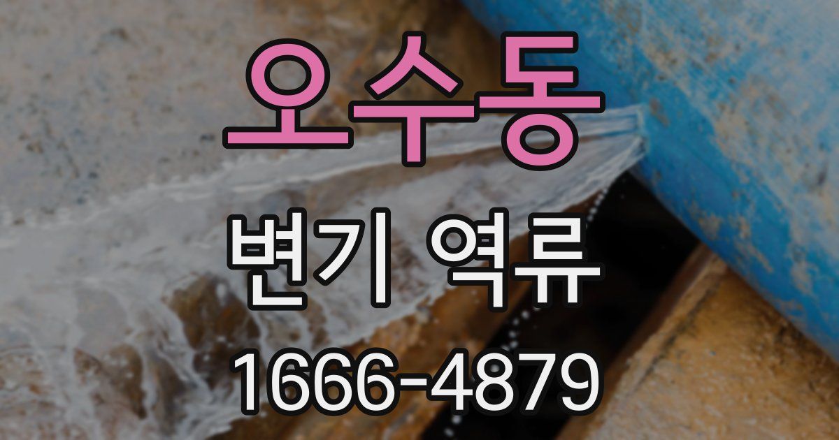 오수동 변기 역류