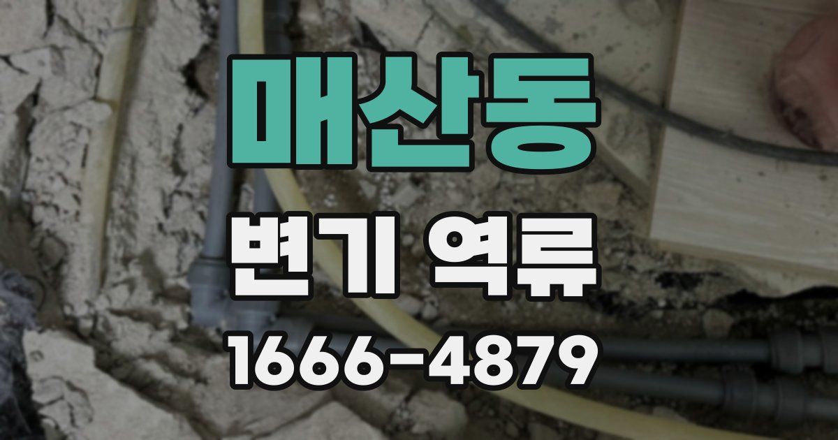 매산동 변기 역류