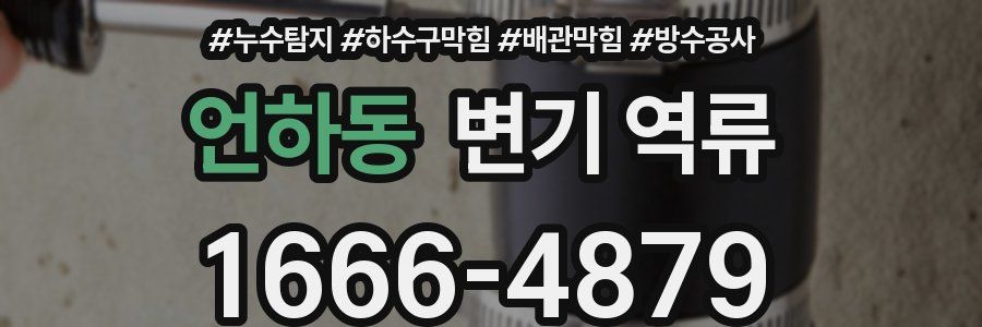 언하동 변기 역류