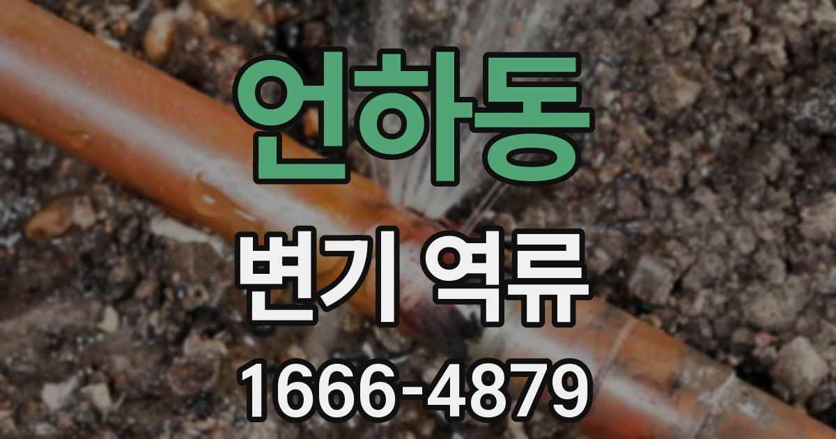 언하동 변기 역류