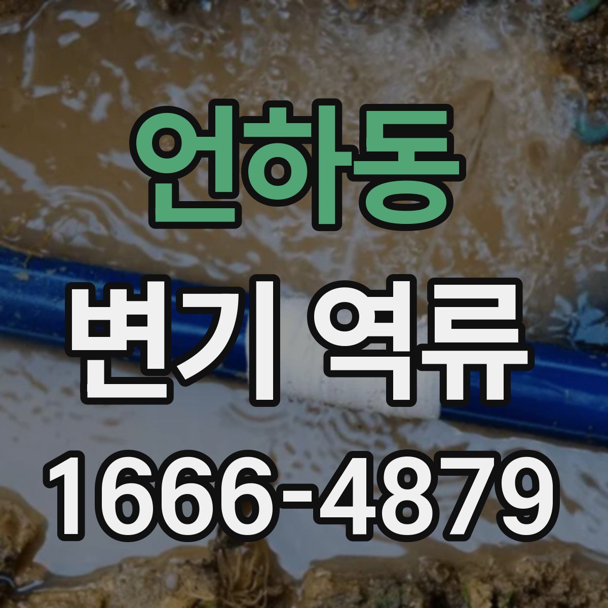 언하동 변기 역류