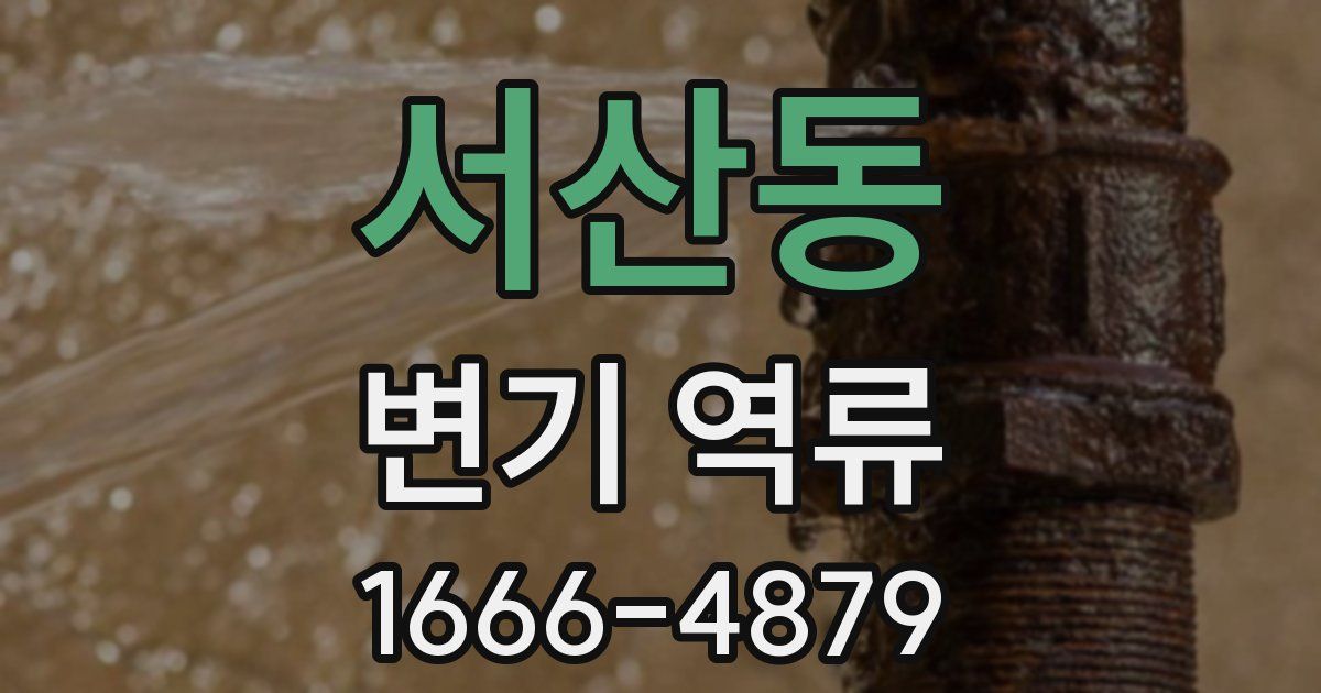 서산동 변기 역류