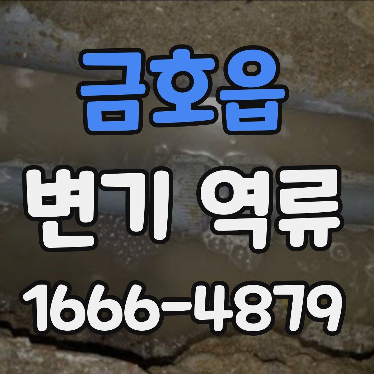 금호읍 변기 역류