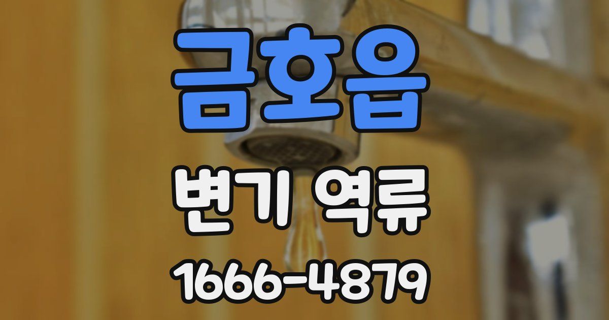 금호읍 변기 역류