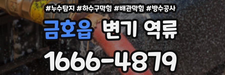 금호읍 변기 역류