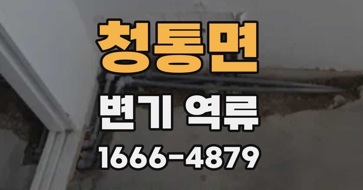 청통면 변기 역류