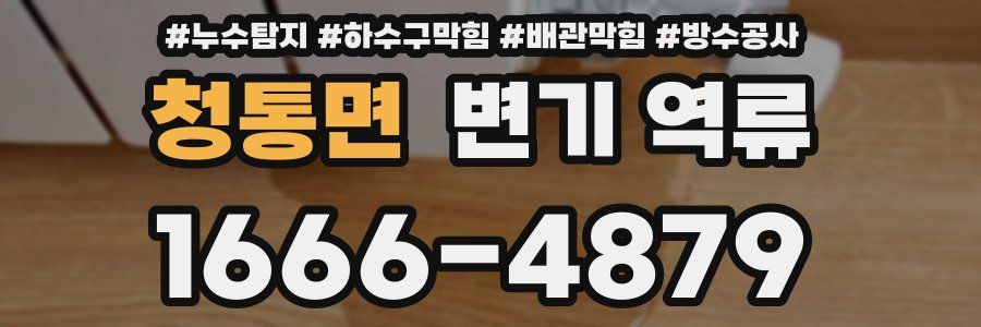 청통면 변기 역류