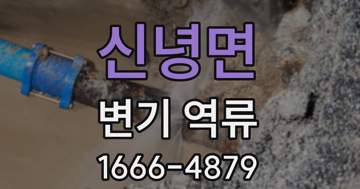 신녕면 변기 역류
