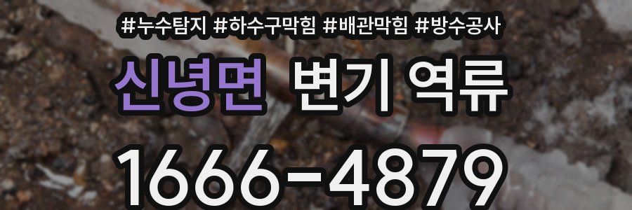 신녕면 변기 역류