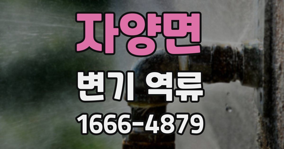 자양면 변기 역류