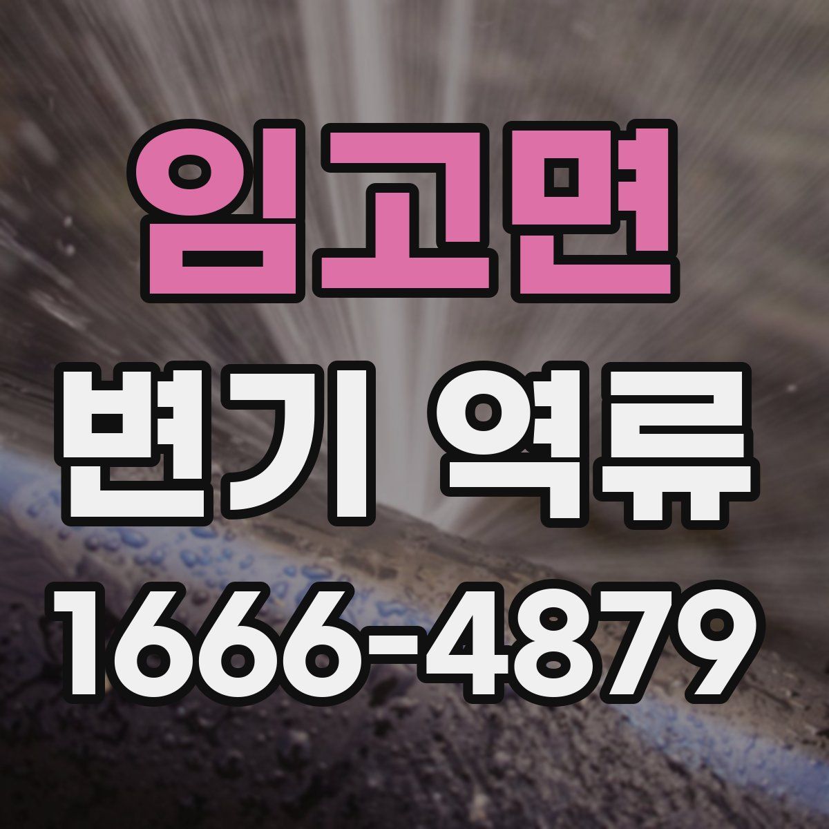 임고면 변기 역류