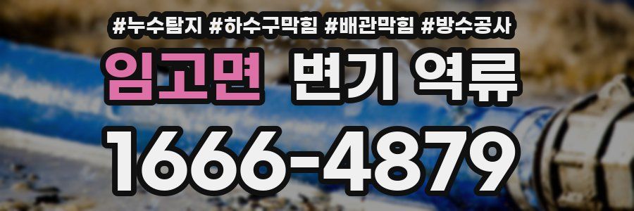 임고면 변기 역류