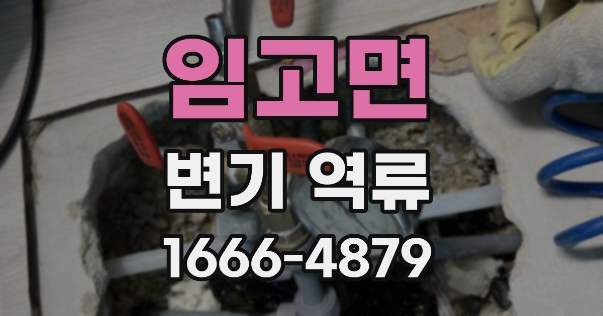 임고면 변기 역류