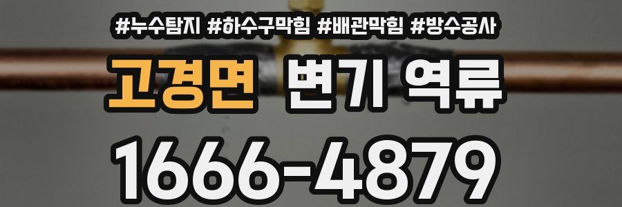 고경면 변기 역류