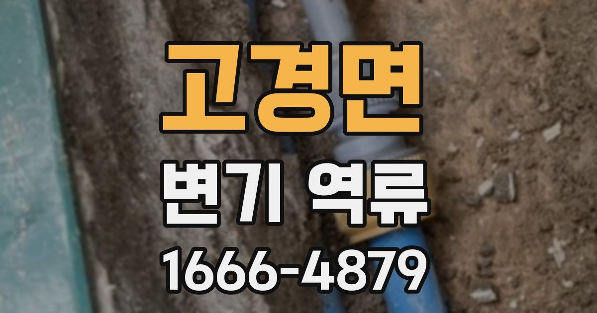 고경면 변기 역류