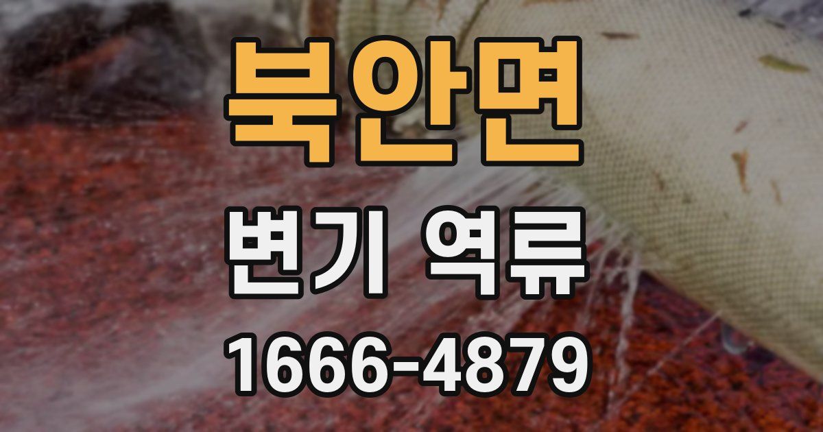 북안면 변기 역류