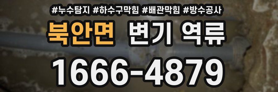 북안면 변기 역류
