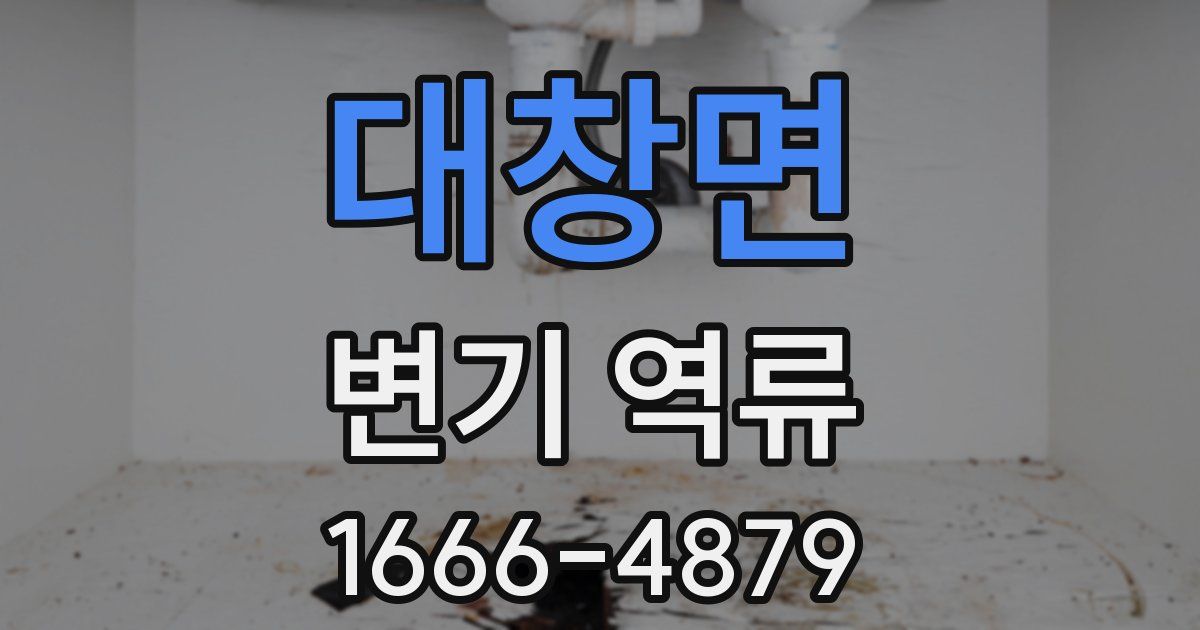 대창면 변기 역류