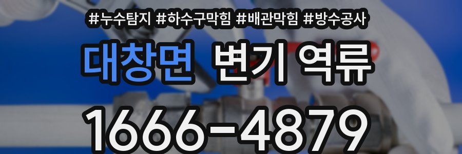 대창면 변기 역류