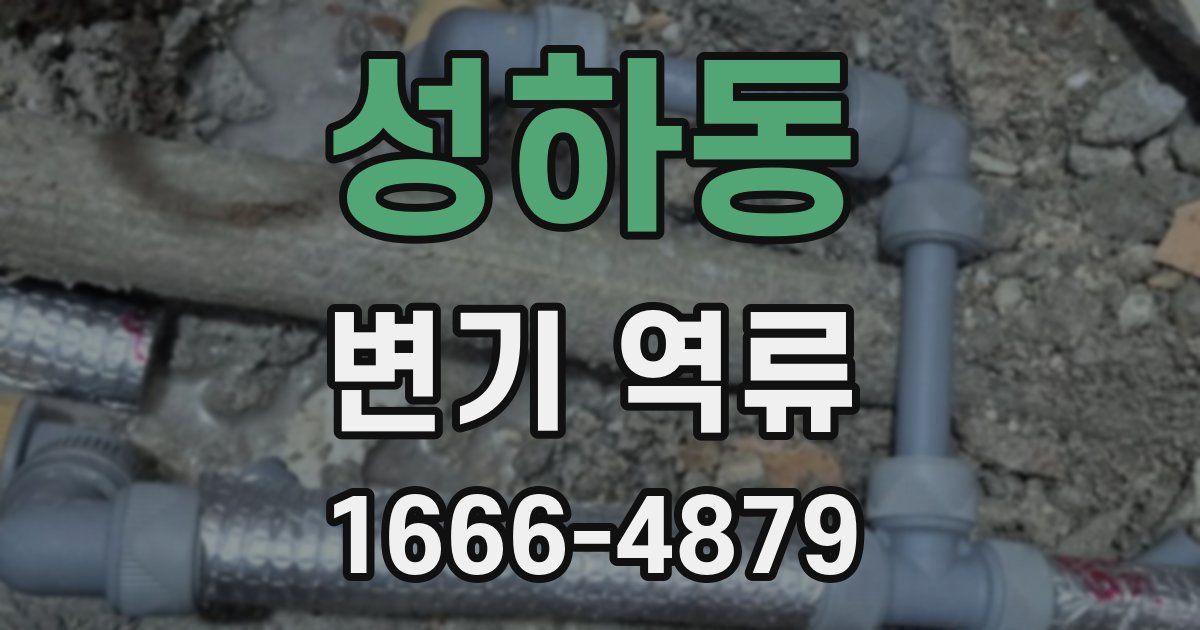 성하동 변기 역류