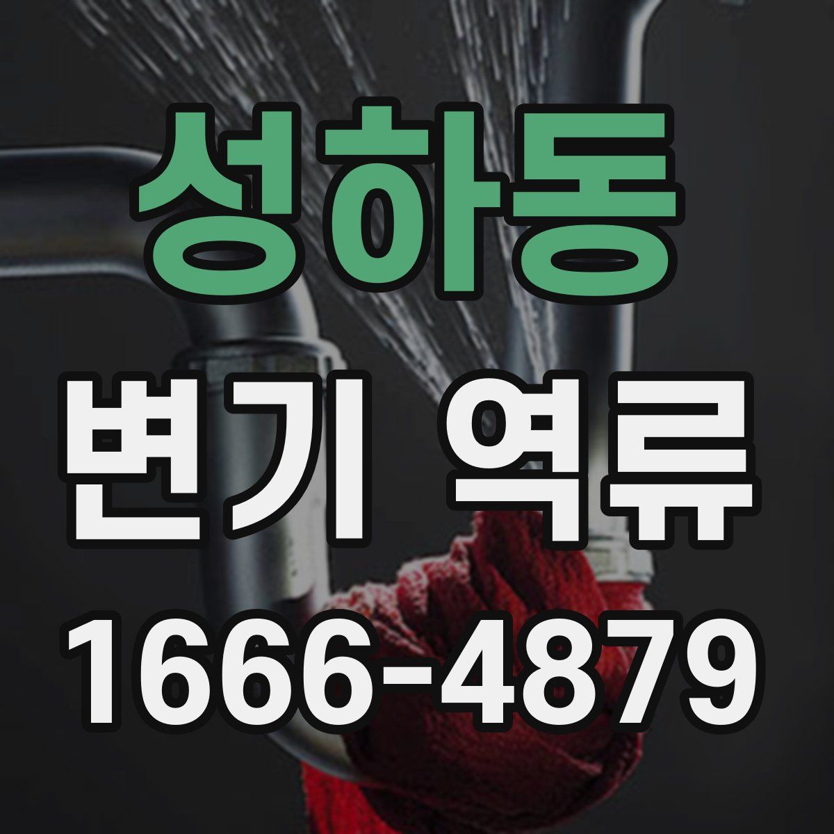 성하동 변기 역류