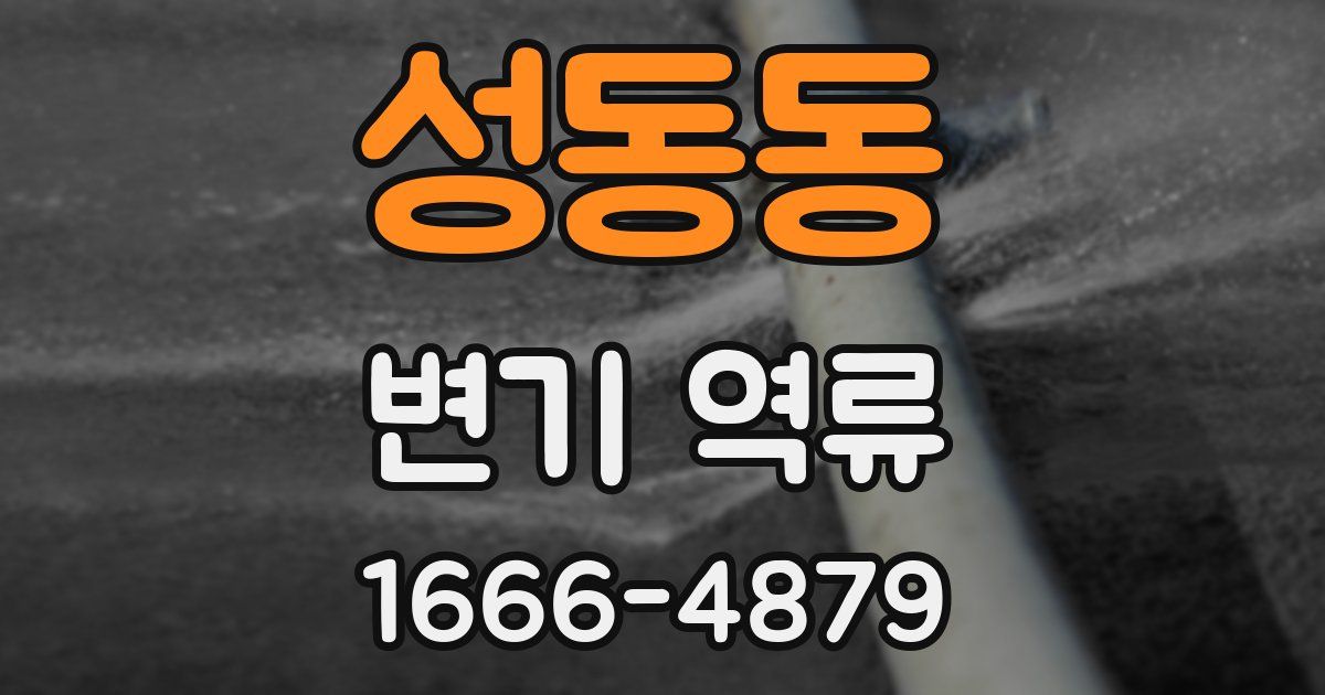 성동동 변기 역류