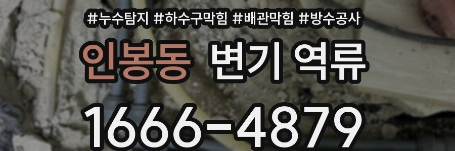 인봉동 변기 역류