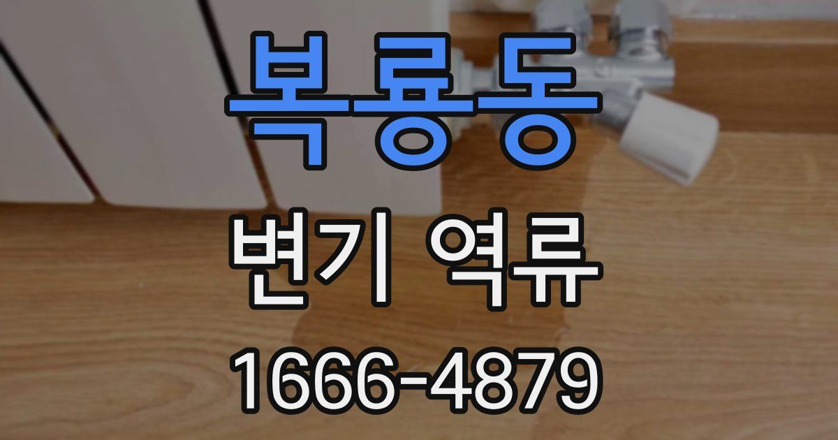 복룡동 변기 역류