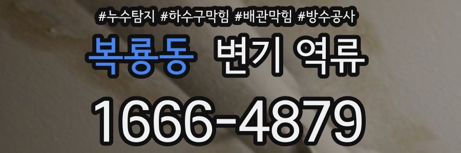 복룡동 변기 역류