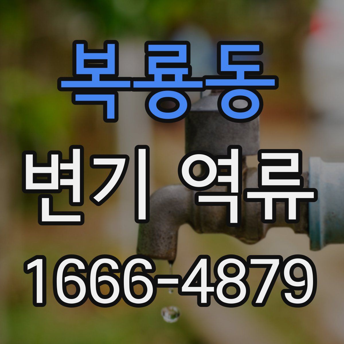 복룡동 변기 역류