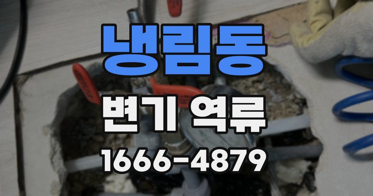 냉림동 변기 역류