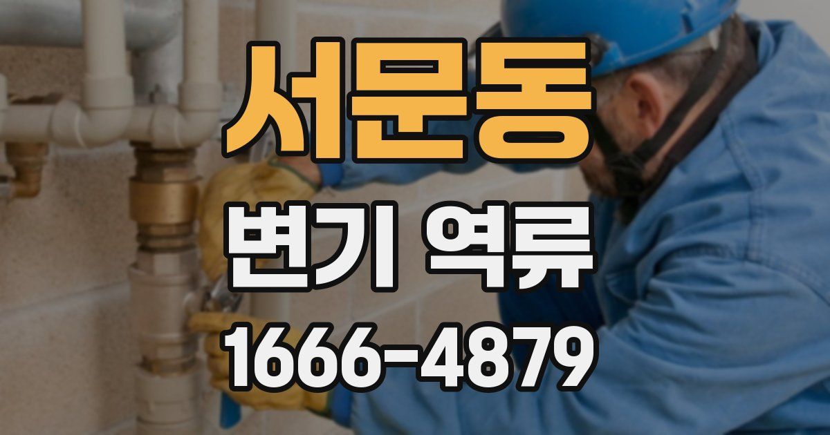서문동 변기 역류