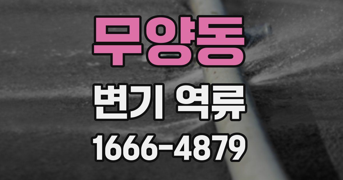 무양동 변기 역류