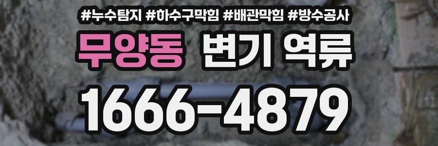 무양동 변기 역류