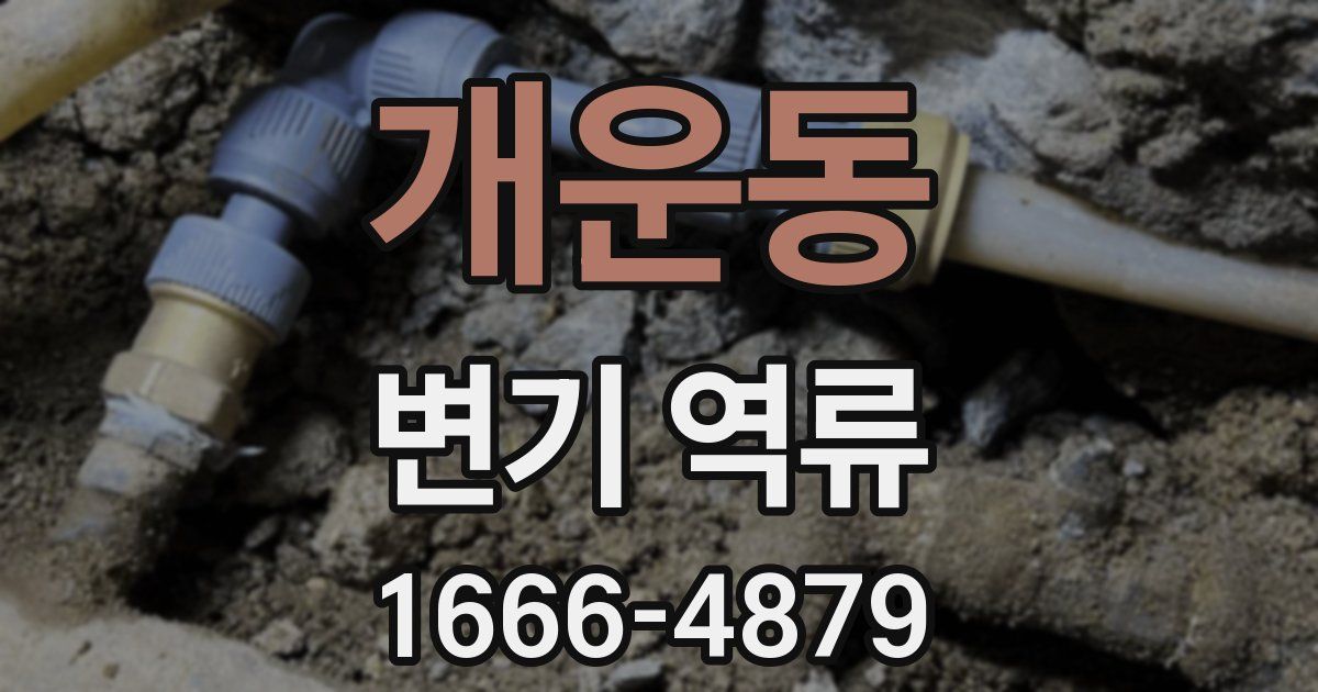 개운동 변기 역류