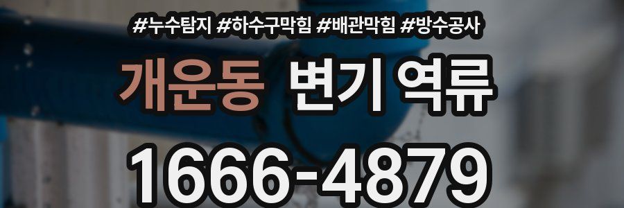 개운동 변기 역류