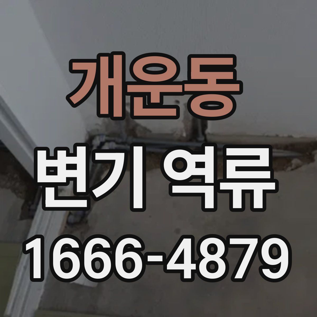 개운동 변기 역류