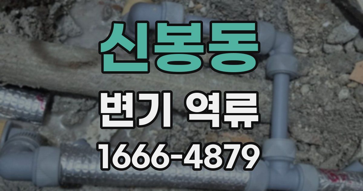 신봉동 변기 역류